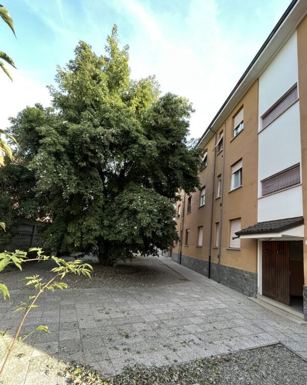 Trilocale via Torino 51, Gallarate - immagine 2